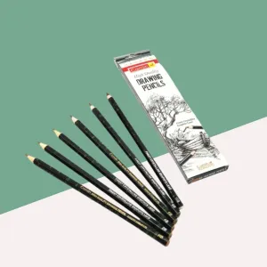 Camlin High Quality Assorted Drawing Pencils ( Pack Of 6 )