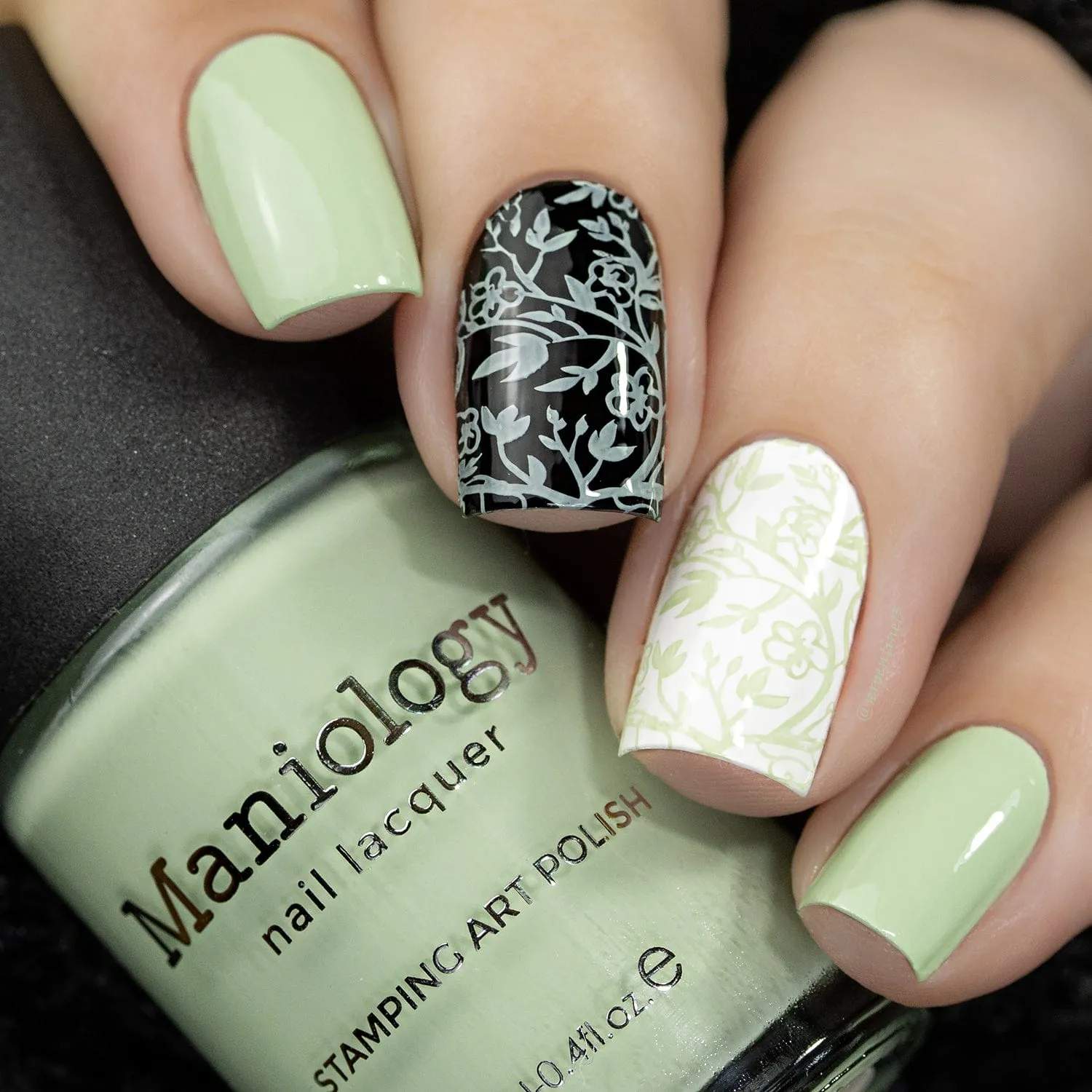 Forager: 3-Piece Cream Stamping Polish Set