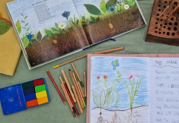 Lyra Nature Waldorf Pencils Pkt 12 ( Super Ferby )